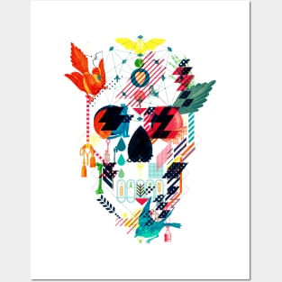 Abstract Skull Posters and Art